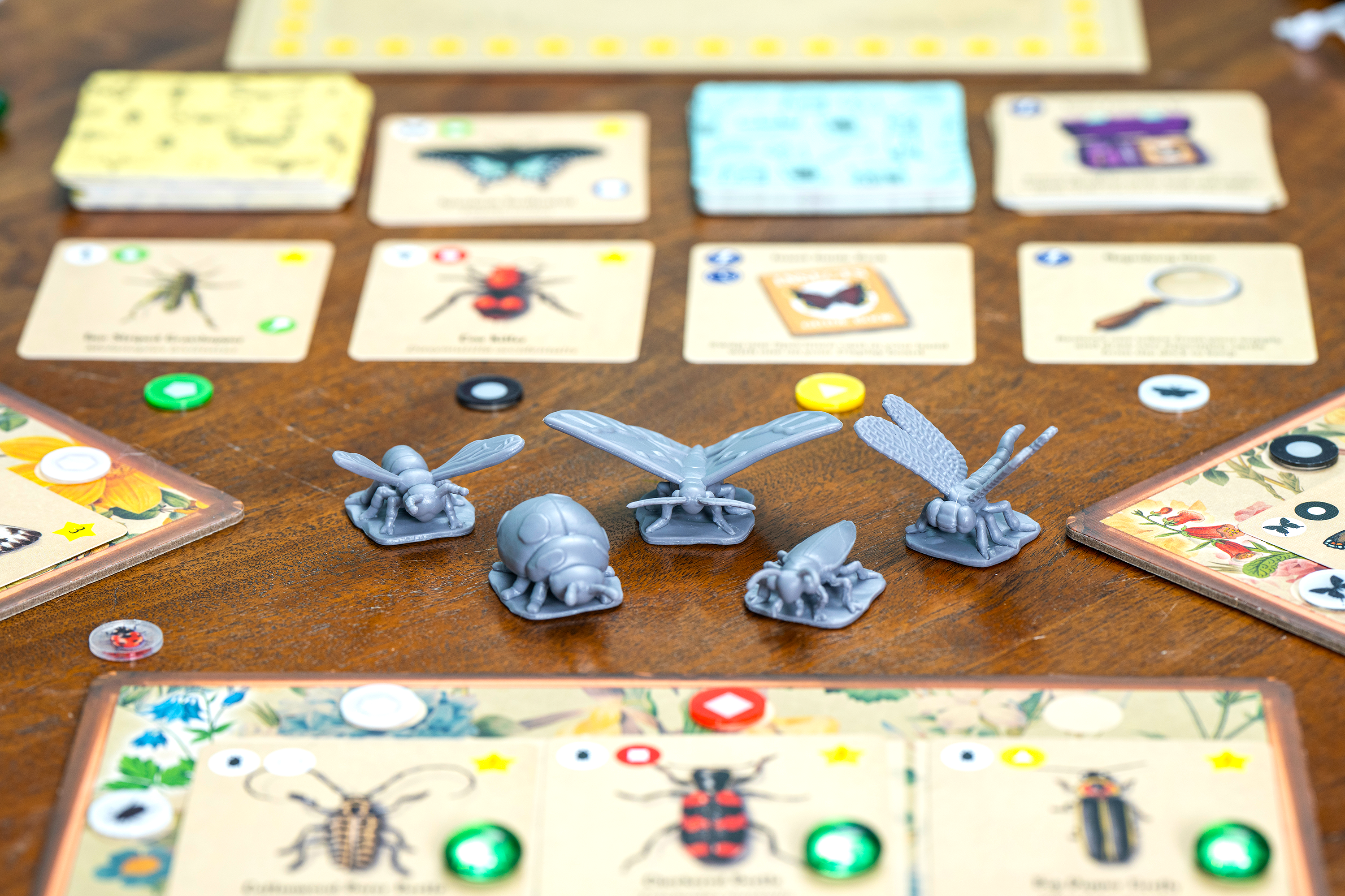 Insectarium